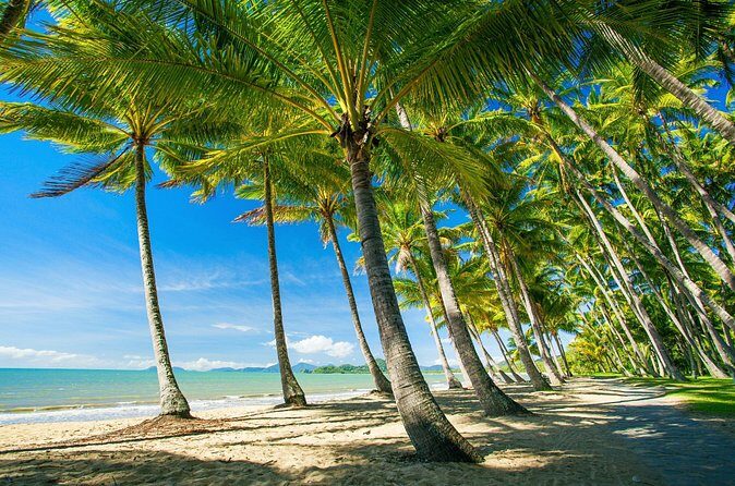 Private Shore Tour: Kuranda Village & Palm Cove from Port Douglas - The Sum Up