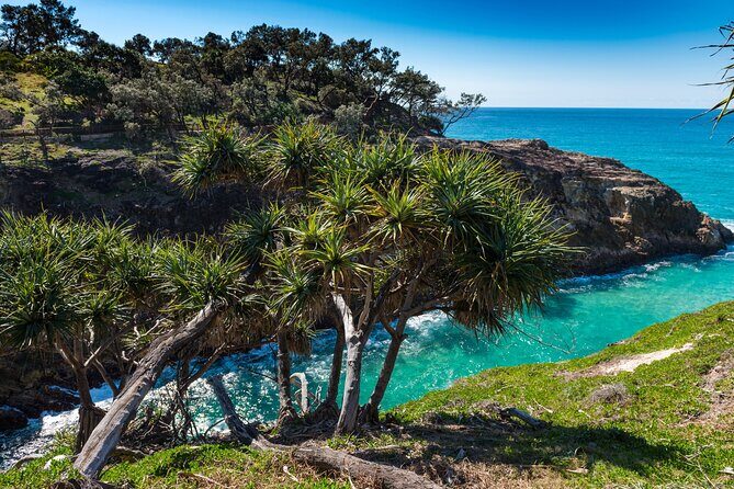 Private Shore Tour: North Stradbroke Island from Brisbane - Practical Considerations