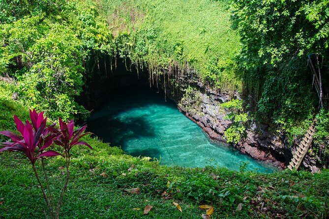 Private Shore Tour Samoa's Natural Wonders Full-Day Trip - Key Points