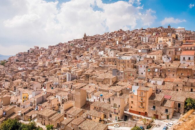 Private Sicily Tour Beyond The Godfathers Shadow - Accessibility Features