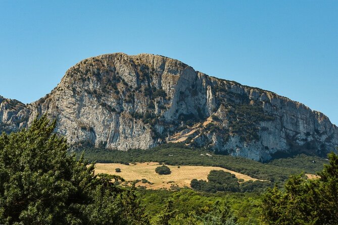 Private Sicily Tour Beyond The Godfathers Shadow - Why Choose This Tour