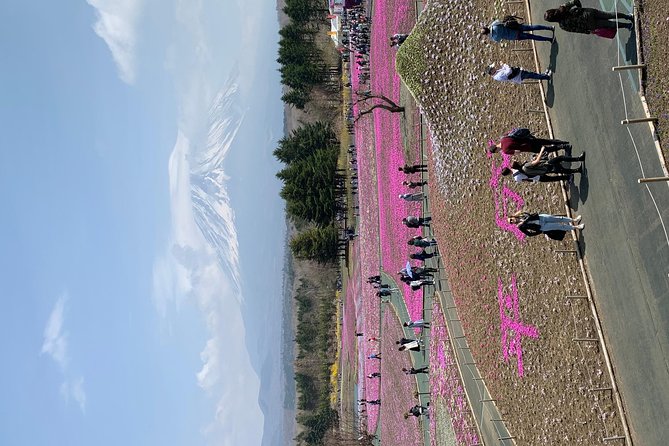Private Sightseeing to Mt Fuji and Hakone Guide - Cruise on Lake Ashi