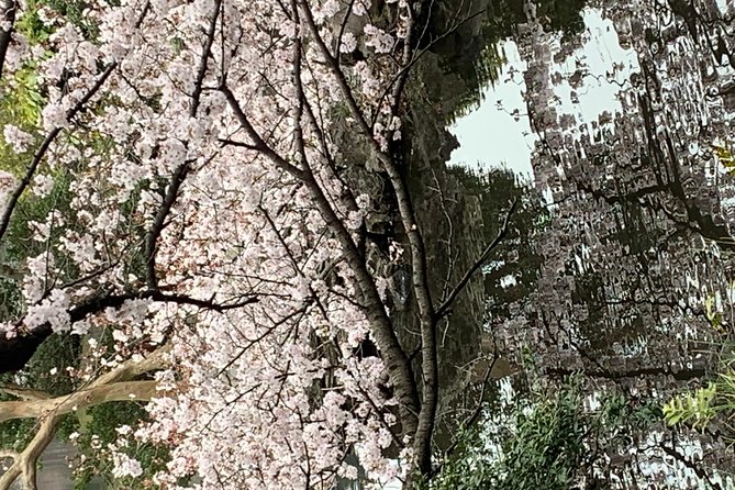 Private Sightseeing to Mt Fuji and Hakone Guide - Exploring Oshino Hakkai