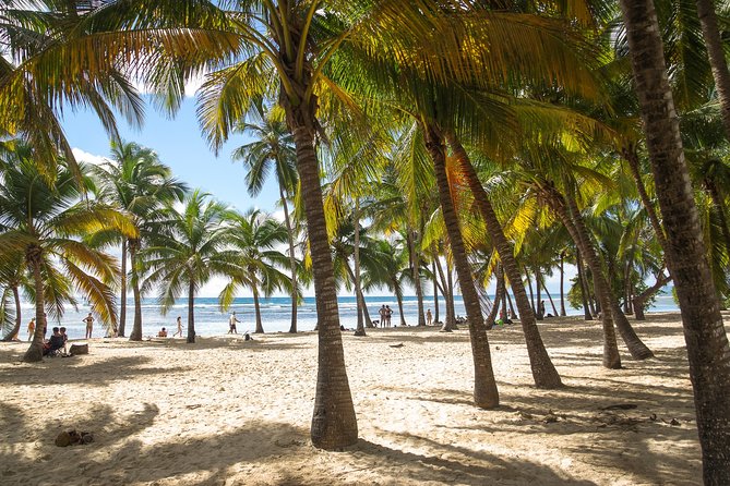 Private Sightseeing Tour | Guadeloupe - Tour Highlights