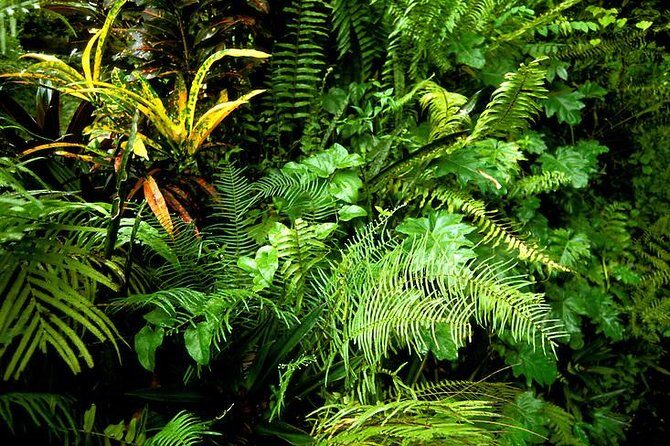 Private Sightseeing Tour in & Around Ocho Rios - The Itinerary: What to Expect at Each Stop