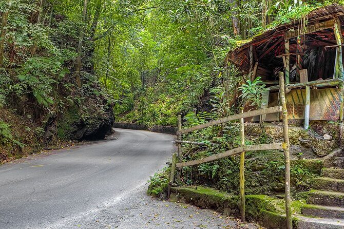 Private Sightseeing Tour in & Around Ocho Rios - A Balanced Look at the Experience