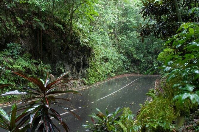 Private Sightseeing Tour in & Around Ocho Rios - FAQs