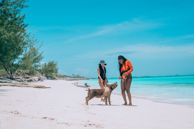 Private Sightseeing Tour in Nassau with Lunch - Who Will Love This Tour?