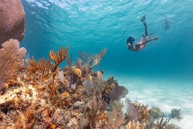 Private Sightseeing Tour in Nassau with Lunch - Final Thoughts: Is This Tour Worth It?