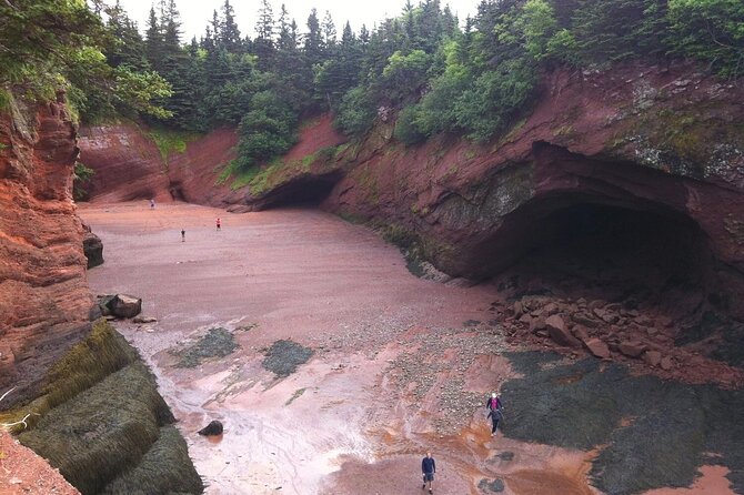 Private Sightseeing Tour In Saint John - Tour Schedule
