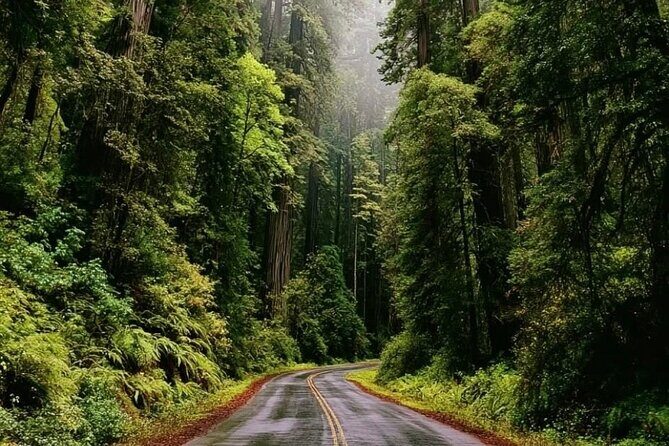 Private Sightseeing Tour in Victoria Canada - Who Should Consider This Tour?