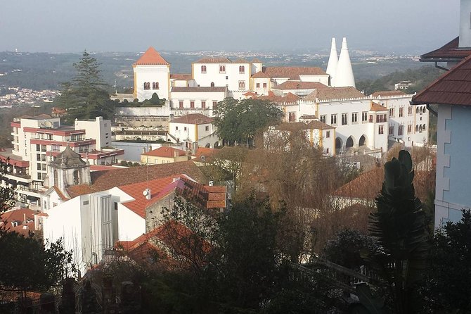 Private Sintra Day Trip From Lisbon With Wine Tasting and Monserrate Palace - Cleanliness and Hygiene Protocols