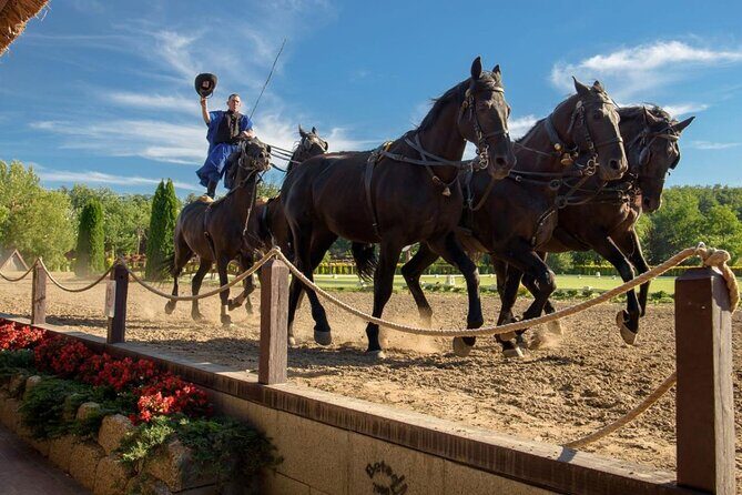 Private Sissi Palace tour in Godollo city with Puszta tour option - Who Will Love This Tour?