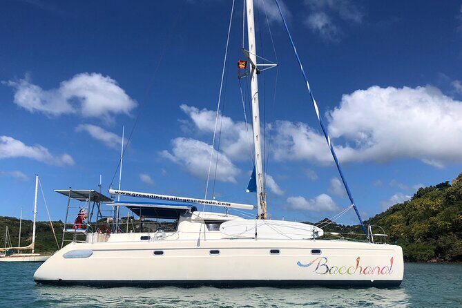 Private, Skippered Catamaran Day Trip in Grenada - Key Points