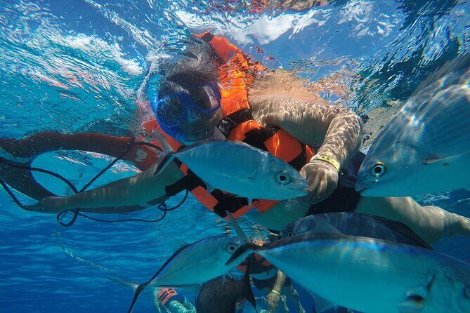 Private Sky Snorkeling Tour - A Deep Dive Into the Experience