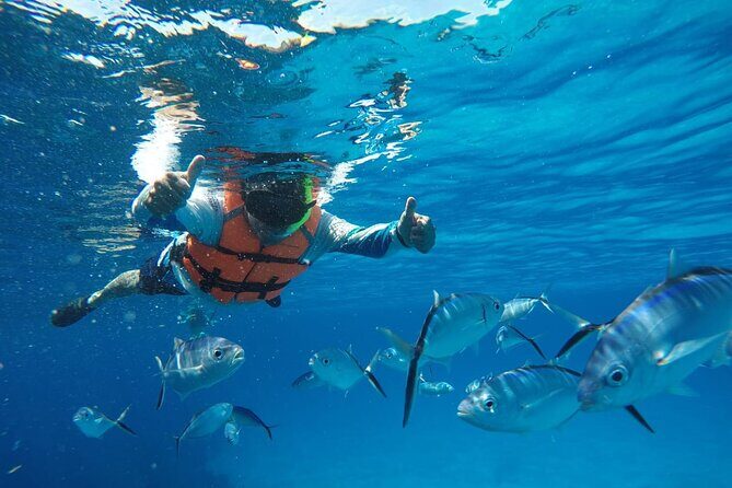 Private Sky Snorkeling Tour - The Sum Up: Who Will Love This Tour?