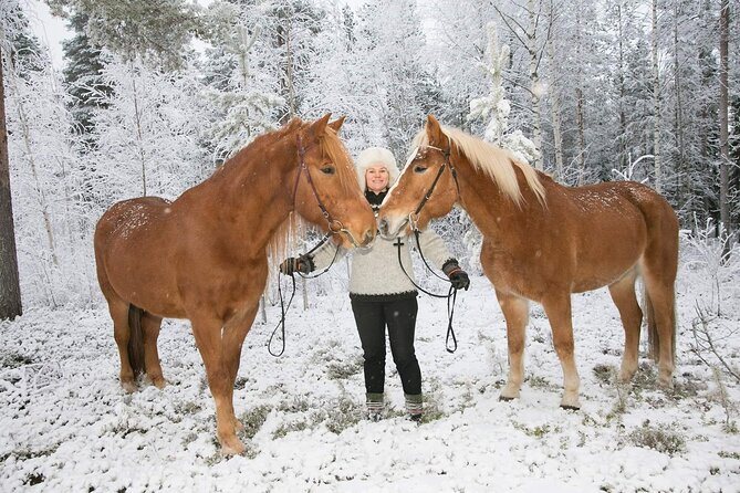 Private Sleigh Ride With Finnhorse Review - Booking and Cancellation Policy