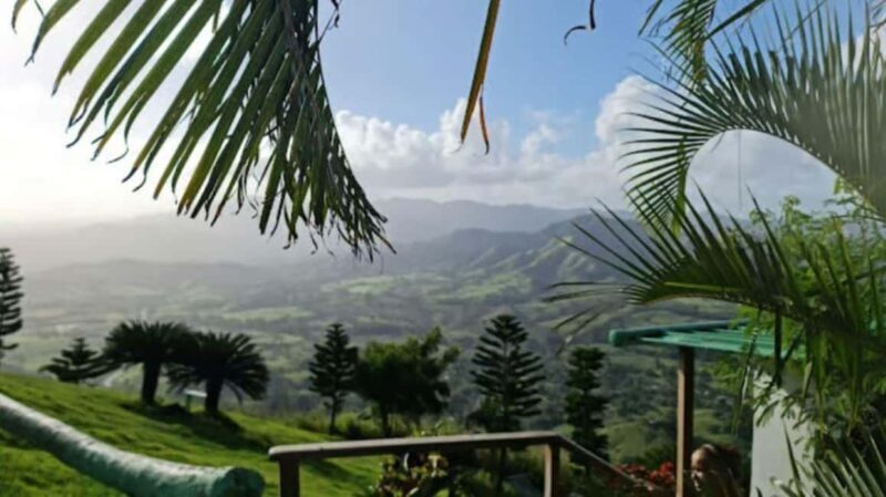 Private: Small-Group Half-Day Trip to Montaña Redonda - Practical Details and Tips