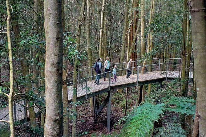 Private Small Group Tour in Blue Mountains - A Detailed Look at the Experience