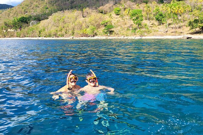 Private Snorkel along the West Coast - What the Tour Offers: A Deep Dive into the Itinerary