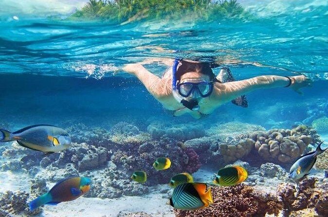 Private Snorkel along the West Coast - Who Will Love This Tour?