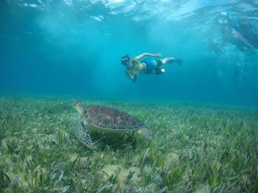 Private SNORKEL AND ISLA MUJERES Tour for GROUPS & FAMILIES - Tropical Fish and Coral Reefs