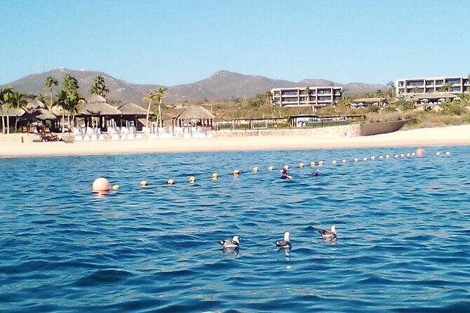 Private Snorkel Santa Maria and Chileno Bay Adventure Los Cabos - What to Expect and Why It Matters