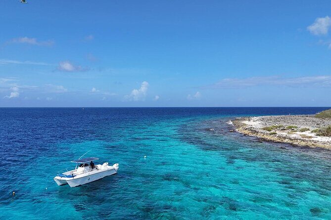 Private Snorkel Tour with Captain and Guide Bonaire Marine Park - What Makes This Snorkel Experience Stand Out?
