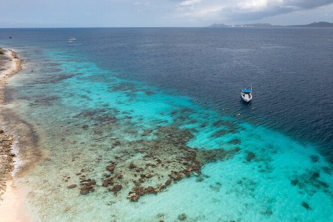 Private Snorkel Tour with Captain and Guide Bonaire Marine Park - Considerations and Tips for Future Snorkelers