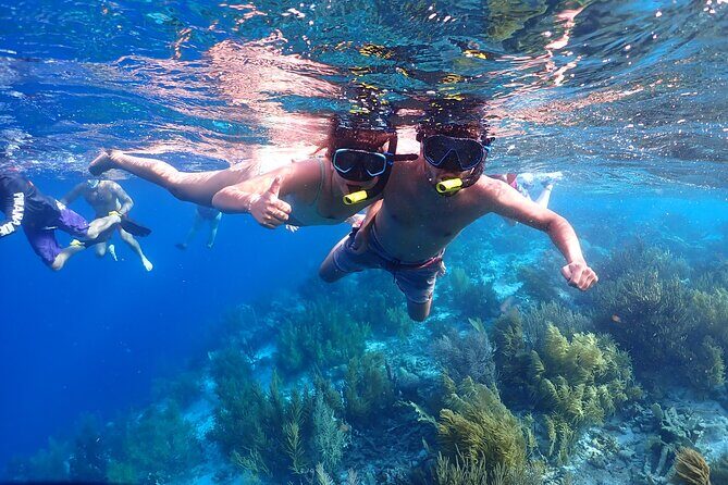 Private Snorkel Tour with Captain and Guide Bonaire Marine Park - Authentic Experiences and Reviews