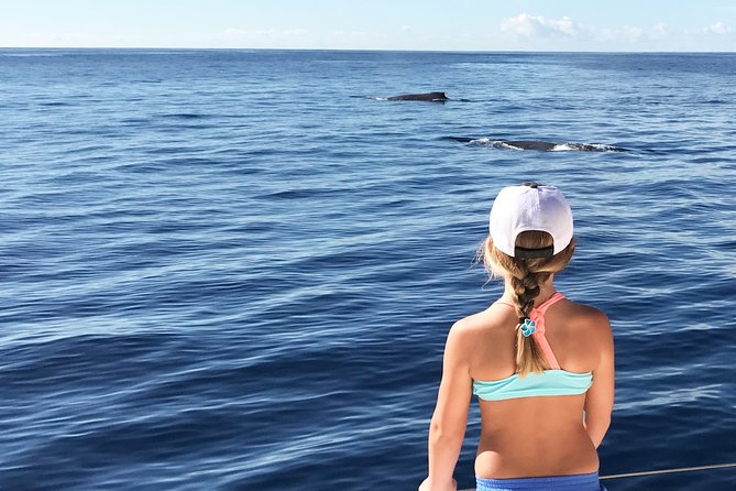 Private Snorkel Trip From Oahu on a Yacht - Inclusions