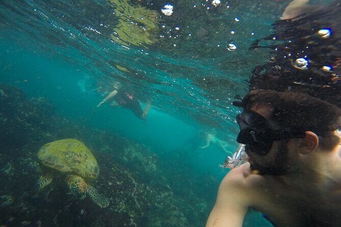 Private Snorkeling Activity in Key Largo - Key Points