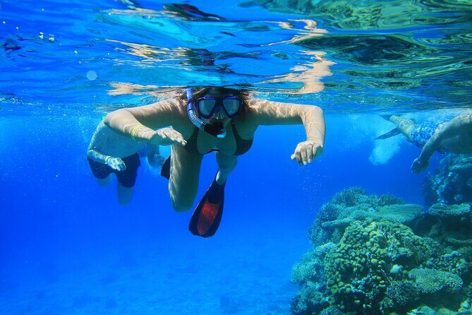 Private Snorkeling Activity in Key Largo - Why This Tour Is a Great Choice