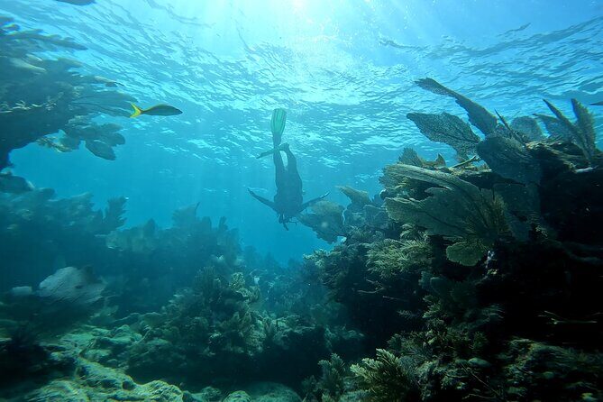 Private Snorkeling Activity in Key Largo - Frequently Asked Questions