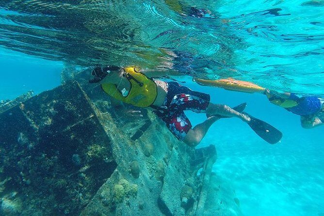 Private Snorkeling Adventure in Cancun - Pricing and Value