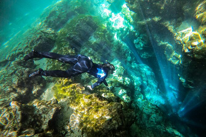 Private Snorkeling Expedition in the Florida Springs - Tour Schedule and Expectations