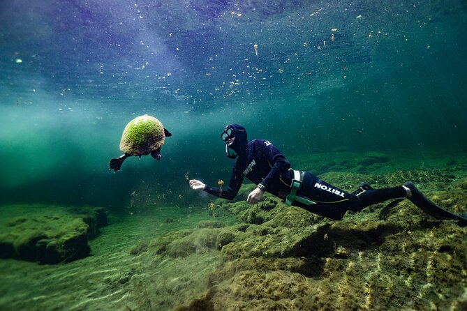 Private Snorkeling Expedition in the Florida Springs - Physical Fitness Requirements