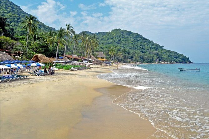 Private Snorkeling Experience and Boat tour to Las Animas Beach - Exploring the Private Snorkeling and Beach Boat Tour to Las Animas