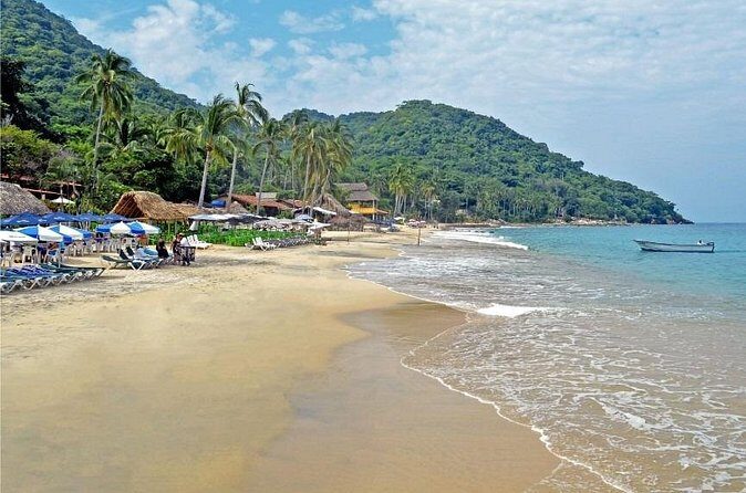 Private Snorkeling Experience and Boat tour to Las Animas Beach - Who Should Book This Tour?