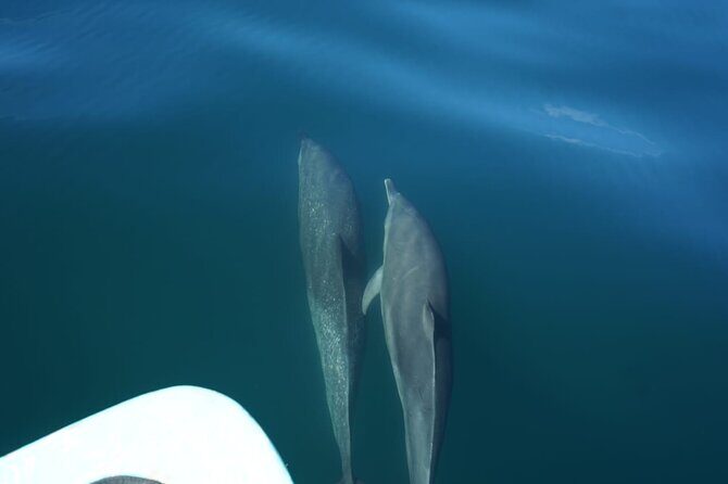 Private Snorkeling Experience in the Coral Islands in Guayabitos - What’s Included and What to Bring