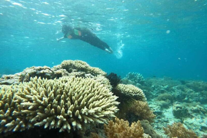 Private Snorkeling Gili Gede, GIli Asahan, Gili Goleng Tour - Key Points
