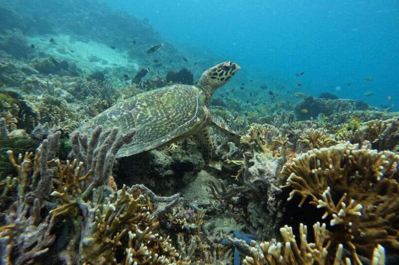 Private Snorkeling Gili Gede, GIli Asahan, Gili Goleng Tour - FAQs