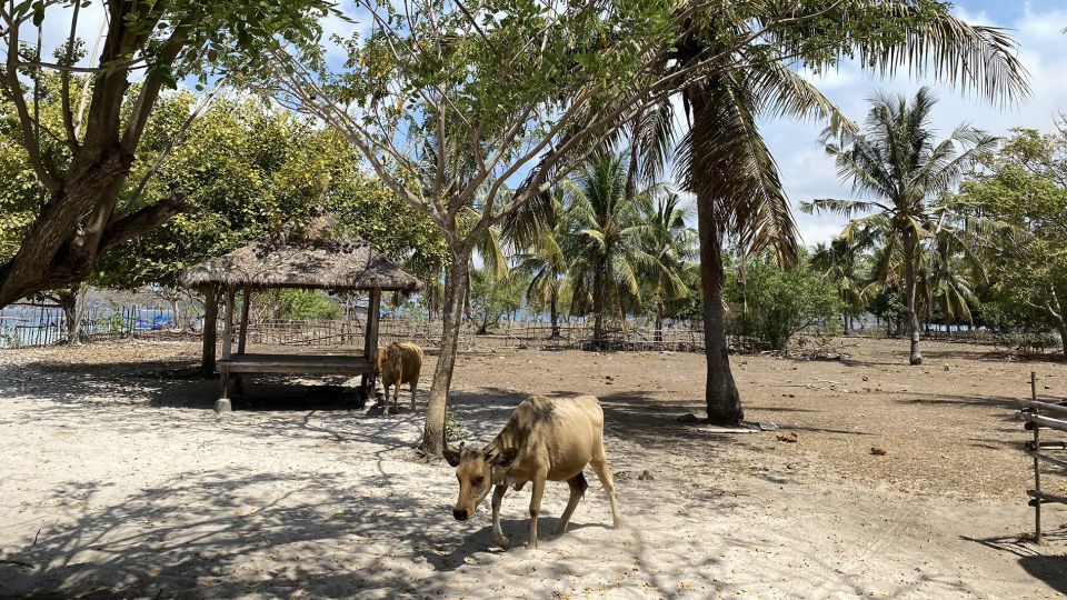 Private Snorkeling Gili Gede, Gili Asahan, Gili Goleng Tour - Pickup Locations