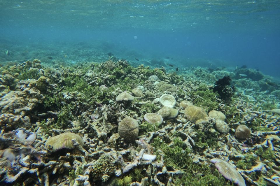 Private Snorkeling Gili Gede, Gili Asahan, Gili Goleng Tour - Booking and Cancellation