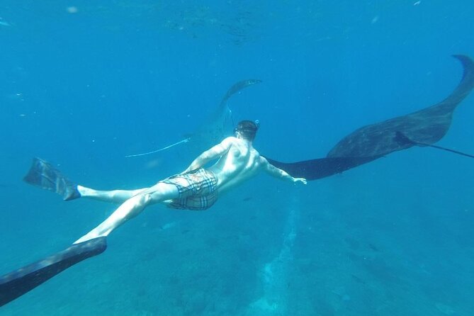 Private Snorkeling in Manta, Gamat & Crystal Bay at Nusa Penida - Scenic Snorkeling Sites