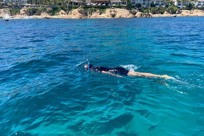 Private Snorkeling In San Jose Del Cabo Lunch, Drinks, Snack - The Sum Up