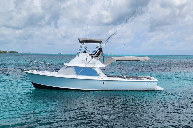 Private Snorkeling or Fishing from Nassau - 31ft Sitting Pretty - Key Points