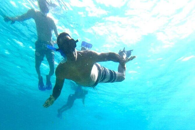 Private snorkeling tour to El Cielo - Authentic Review Snippets