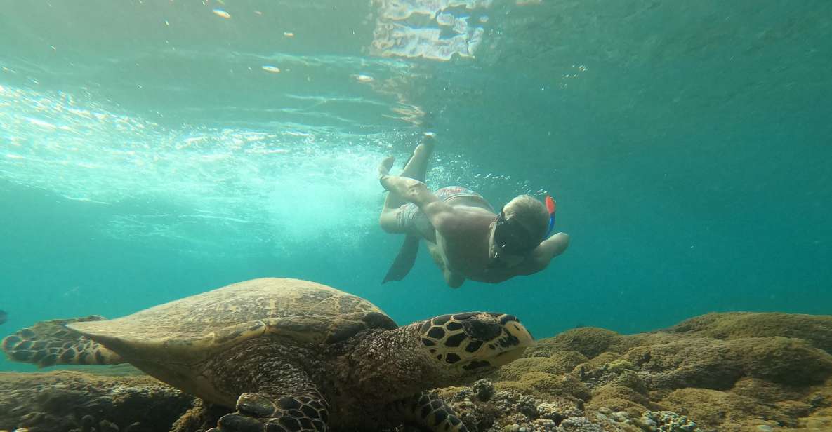 Private Snorkeling Trip - Komodo National Park Expedition