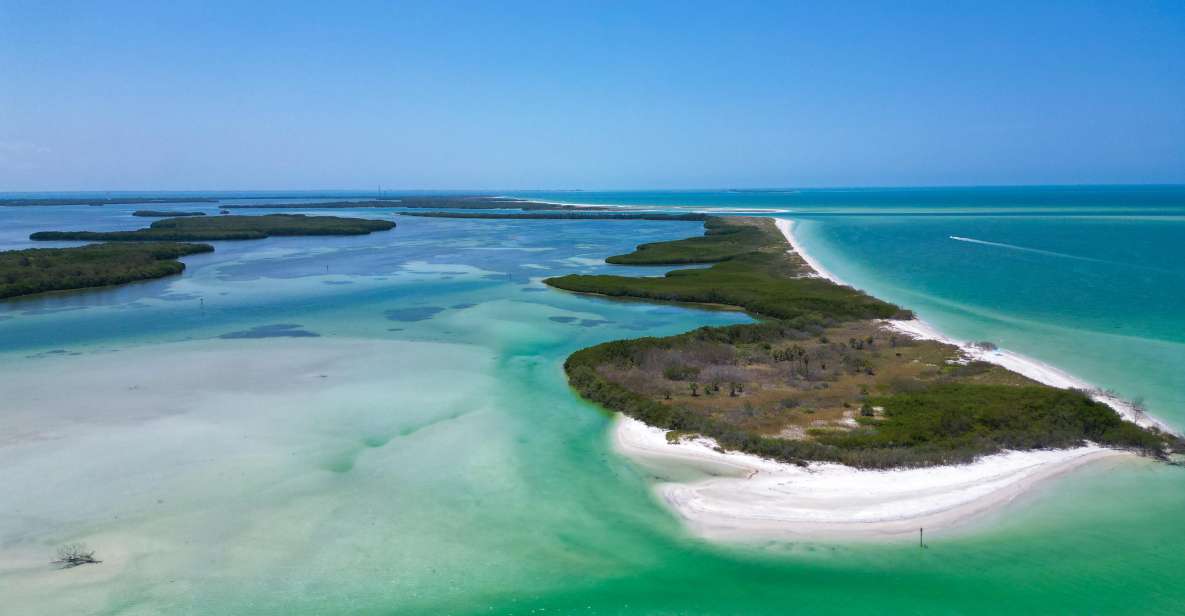 Private Snorkeling & Watersports- St Pete & St Pete Beach - Experience Highlights